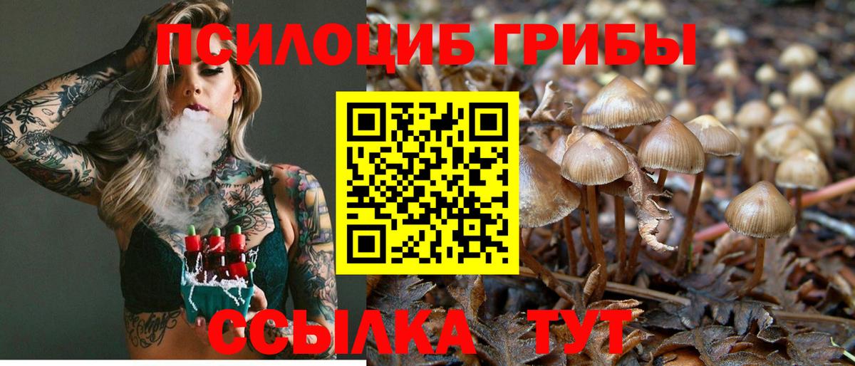 Cocaine  A-PVP СК кристаллы  Гашиш  Кызыл  Меф МЯУ МЯУ   Бошки Шишки  ГАШИШ  Вход с VPN 