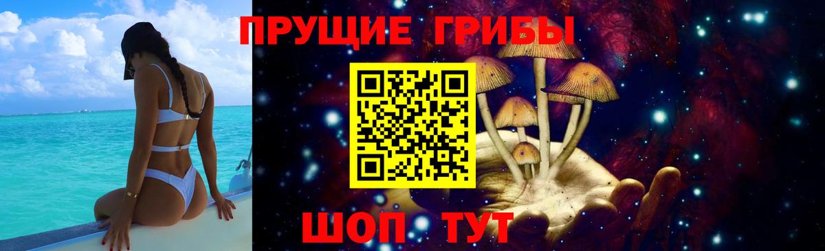 Кызыл  Галлюциногенные грибы мухоморы  Вход с VPN 