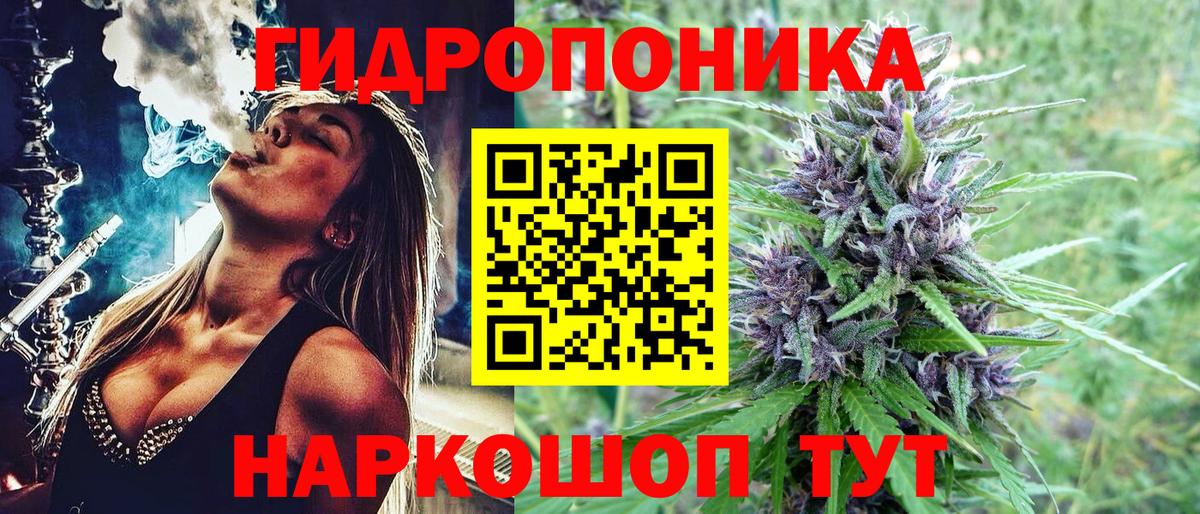 Кызыл  Канабис сатива  Шишки марихуана VHQ  Вход с VPN 